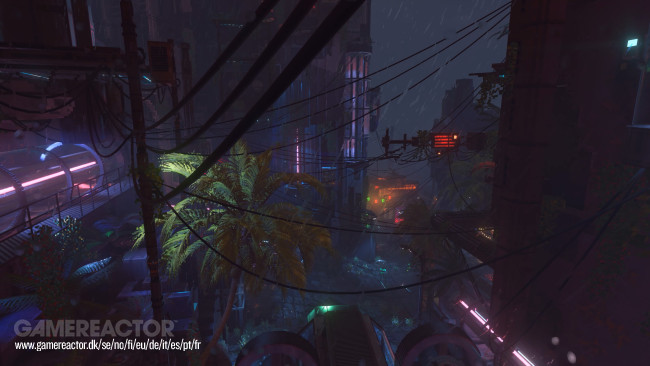 Nivalis Nights