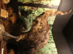 絶滅したダイアウルフを蘇らせた会社は、現在ニュージーランドの巨大鳥モアの復活を準備しています
