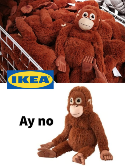 パンチ・ザ・モンキーとは誰ですか?ドナルド・トランプよりも有名になった若いマカク