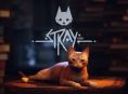Stray は Xbox で利用可能になりました