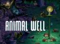 今日のGR Liveでは、Animal Well を下って旅をしています