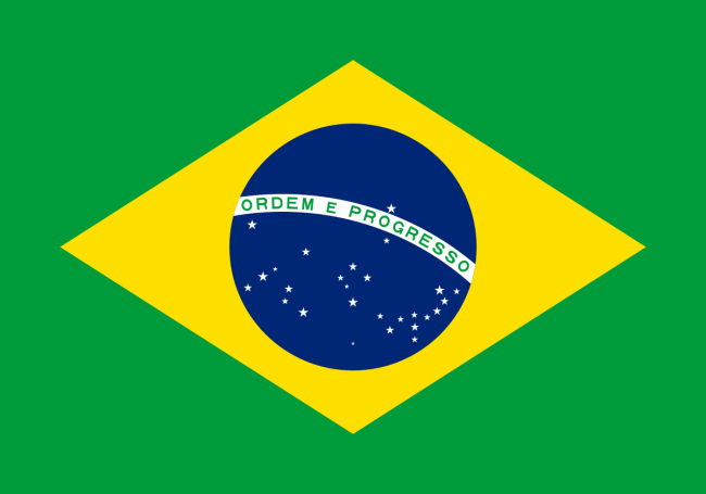 昨年、ブラジルの森林伐採は2019年以来の最低水準に落ち込みました