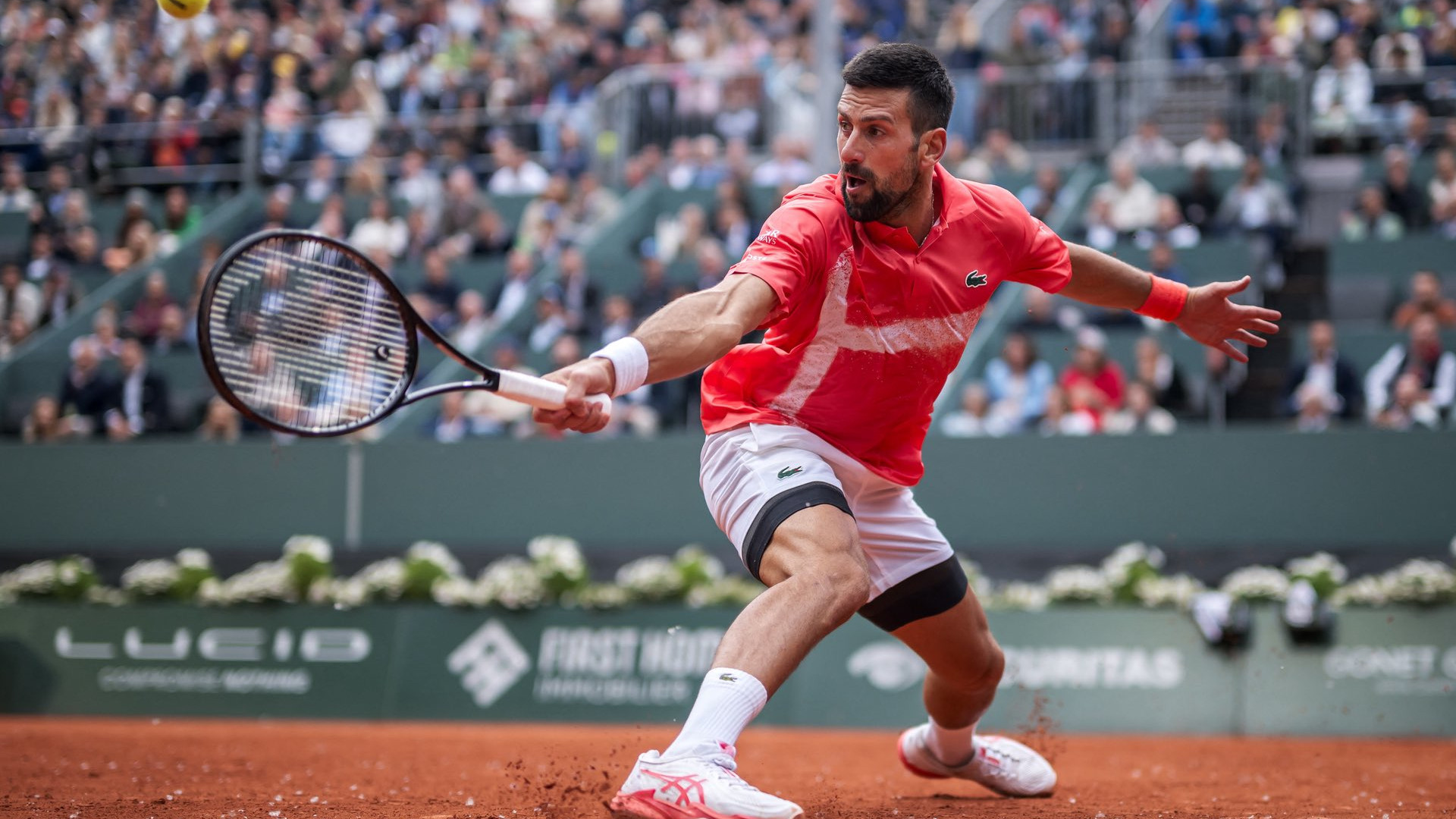 セール…ノバク・ジョコビッチ直筆サイン入り超大型写真…Novak Đoković ノバク・ジョコビッチ 直筆サイン入りテニスボール｜Yahoo!フリマ（旧