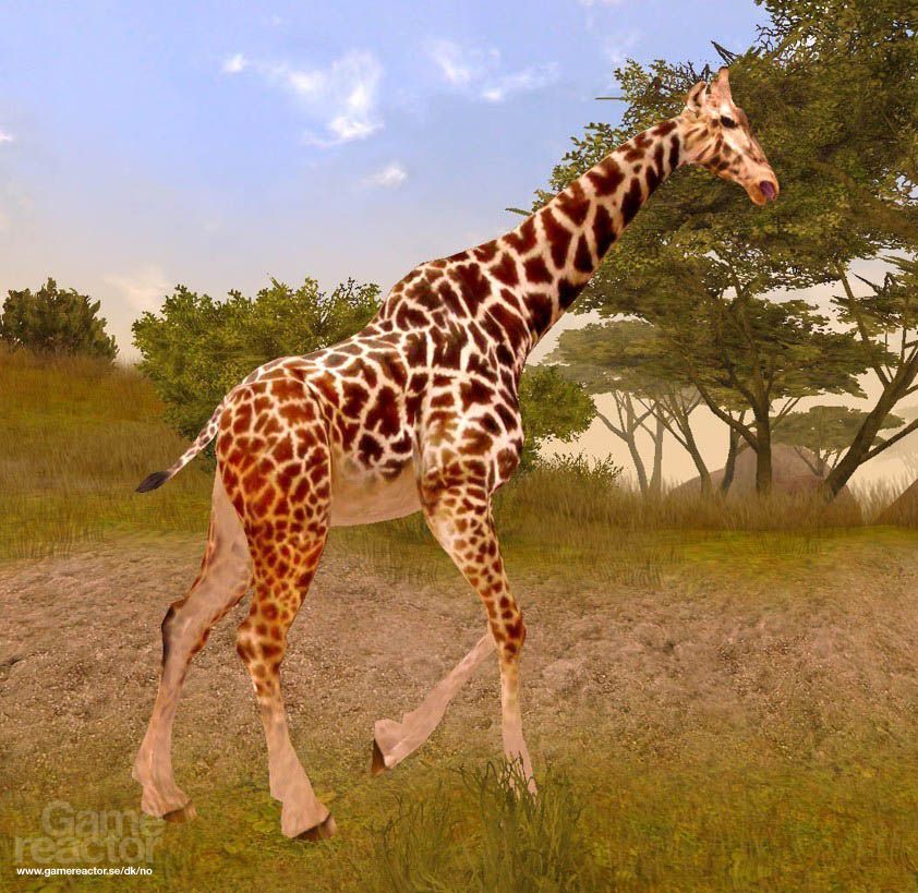 Cabela's African Safari Sur Sony PSP - Version US Complète (CIB) - Bon état