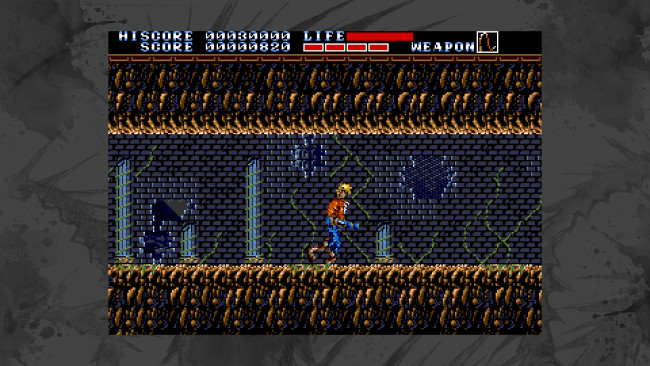 Earnest Evans Collection