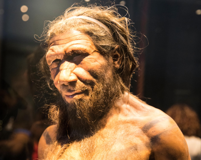 研究によると、ネアンデルタール人の男性は人間の女性と交配することが多いことが示唆されています