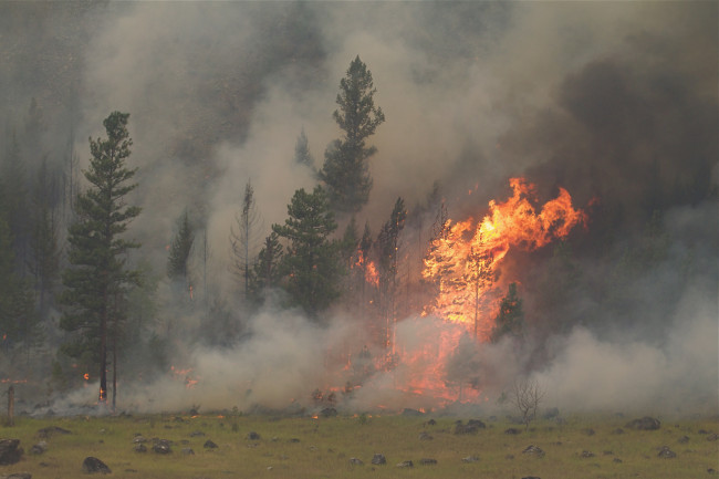 ワシントンで非常事態宣言、山火事が米国地域を襲う中