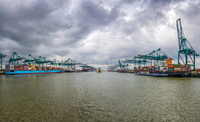 専門家:ベルギーは「麻薬国家」になるリスクがある