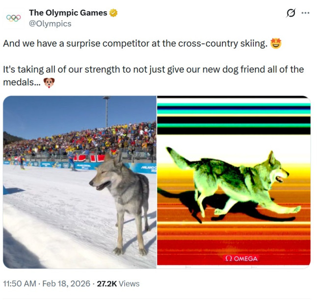 公式オリンピックXアカウントが、バイラルだがかなり危険な犬事件の面白い投稿を静かに削除しました