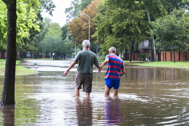 新たな報告によると、気候危機が民主主義への脅威を増大させている