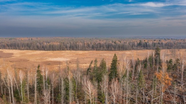ロシアとベラルーシ、ポーランド近郊で軍事演習を開始