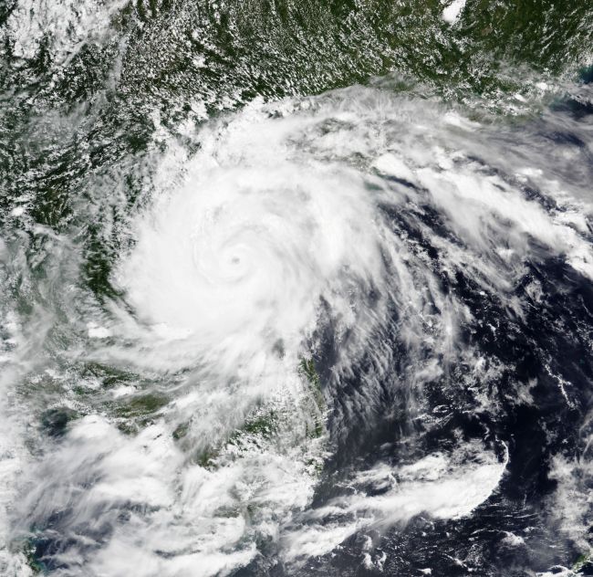 台風ドルフィンはすでに日本を混乱させており、現在中国東部に警戒態勢を敷いています