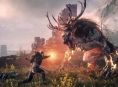 The Witcher 3: Wild Hunt は、ほとんど非常に異なる名前で呼ばれていました