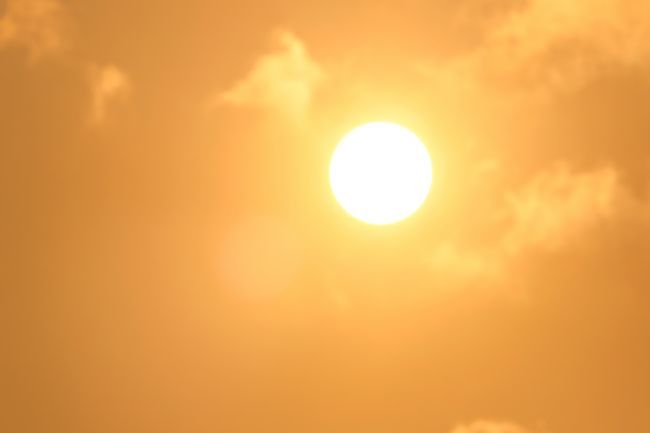 今年の夏の熱波でフランスはすでに100億から150億ユーロの損失を被る見込みです