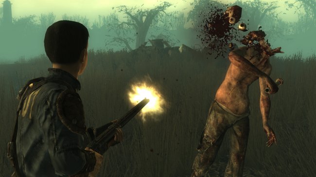 Fallout 5