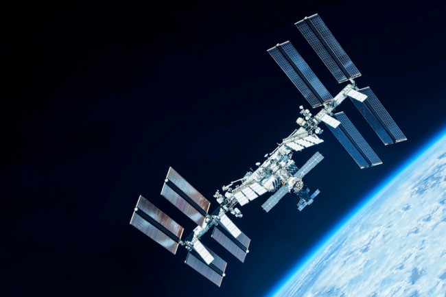 科学者たちは苔を宇宙の真空に送り込んだ...今日、彼らはそれが283日間生き延びたことを明かしました