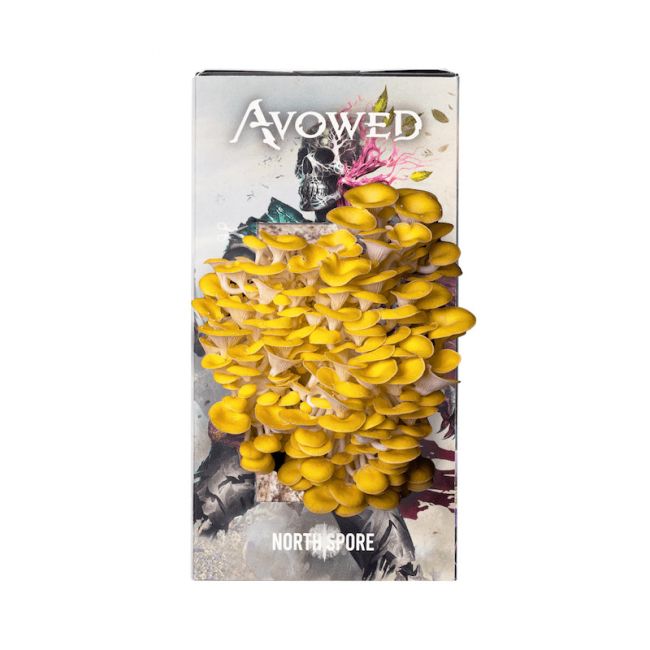 Avowed