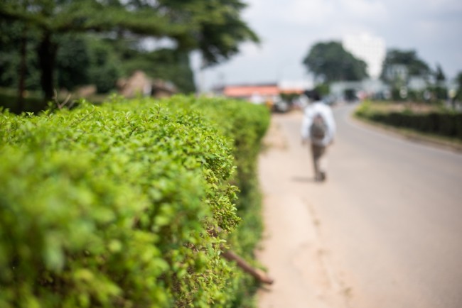 ナイジェリアで誘拐された300人のカトリック学校の生徒のうち50人が脱走に成功し(約250人は依然として捕虜です)