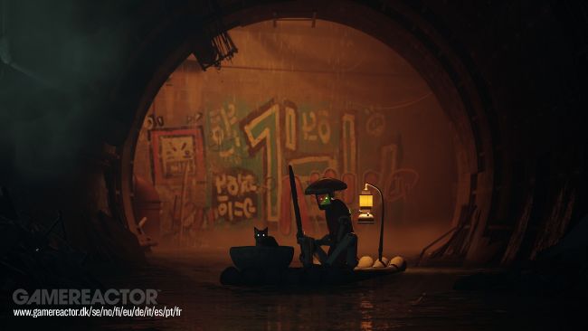 Stray