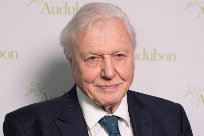 サー・デイヴィッド・アッテンボローは100歳の誕生日に「圧倒される」誕生日メッセージを受け取る