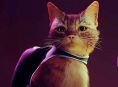 Stray は 8 月に Xbox One と Xbox シリーズへの道を喉を鳴らします
