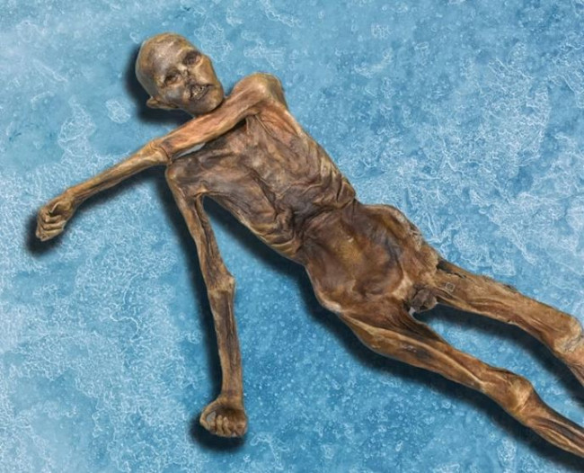 研究者たちは5,000年前のミイラをサワードウブレッドに変えた