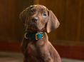 スクービー・ドゥーはNetflix の実写前日譚シリーズで本物の犬になる Scooby-Doo: Origins 