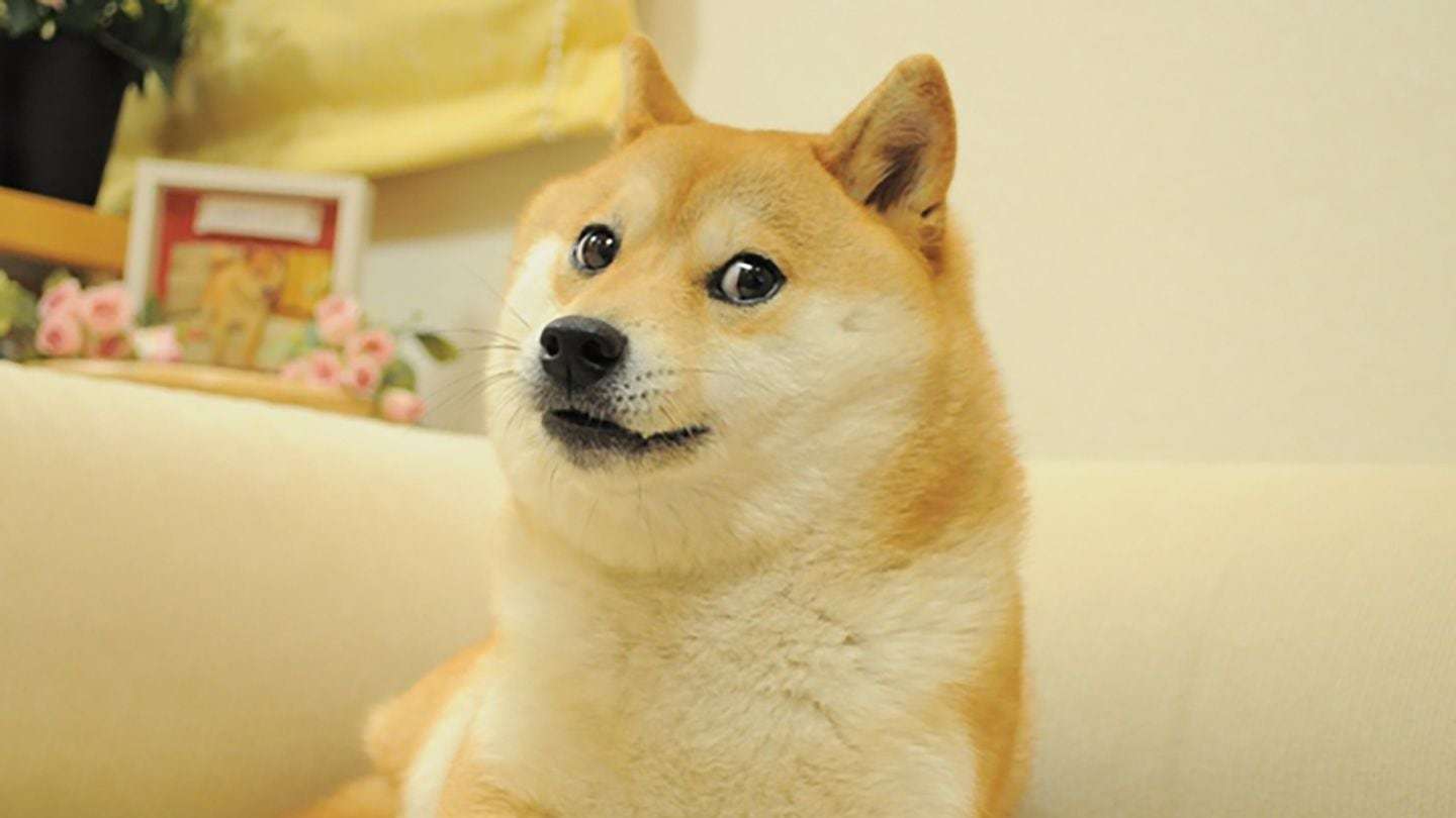 ドージェ犬が死んだ - - Gamereactor